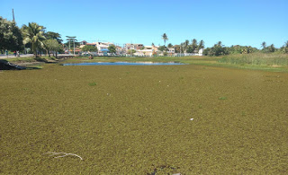 Abandono de lagoa incomoda moradores e turistas que frequentam Jauá.